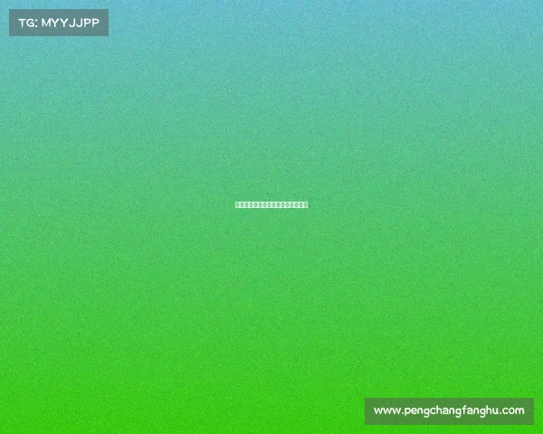 《指尖风暴:数字迷城的巅峰对决》