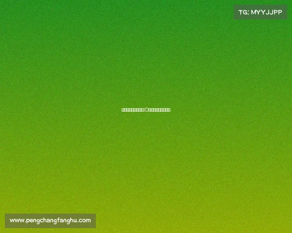 《峡谷狂想曲:那个ID背后的热血与传奇》