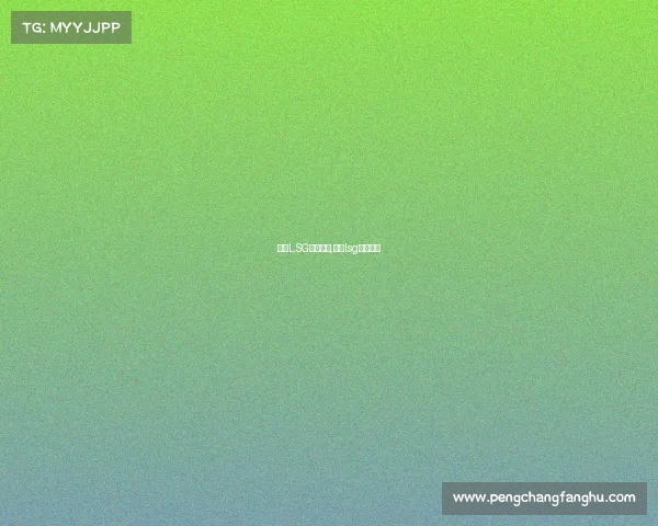 上海LSG电子竞技,上海lsg电子竞技